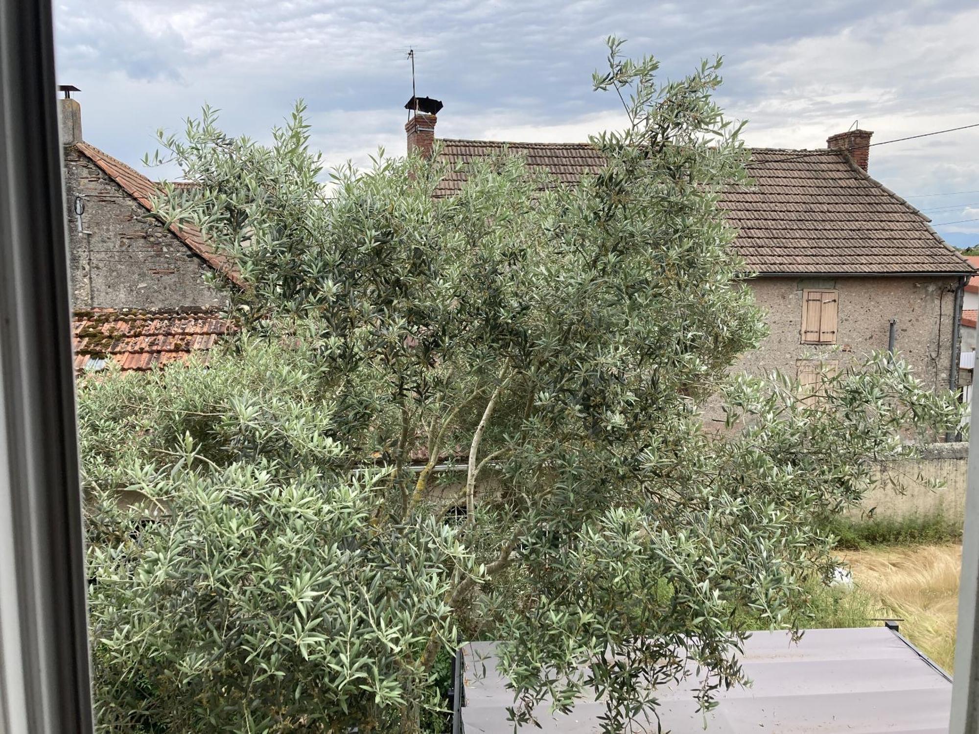 Location Appartement Des Pyrenees Borderes-sur-l'Echez Номер фото